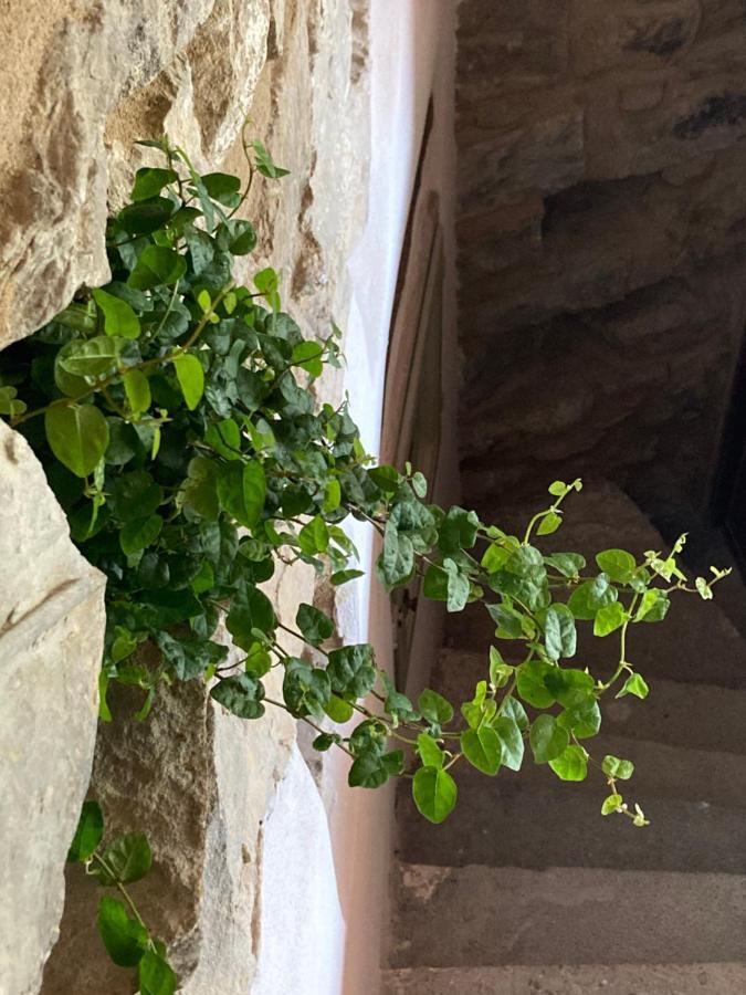 House In The Medieval Village Apricale Exterior photo